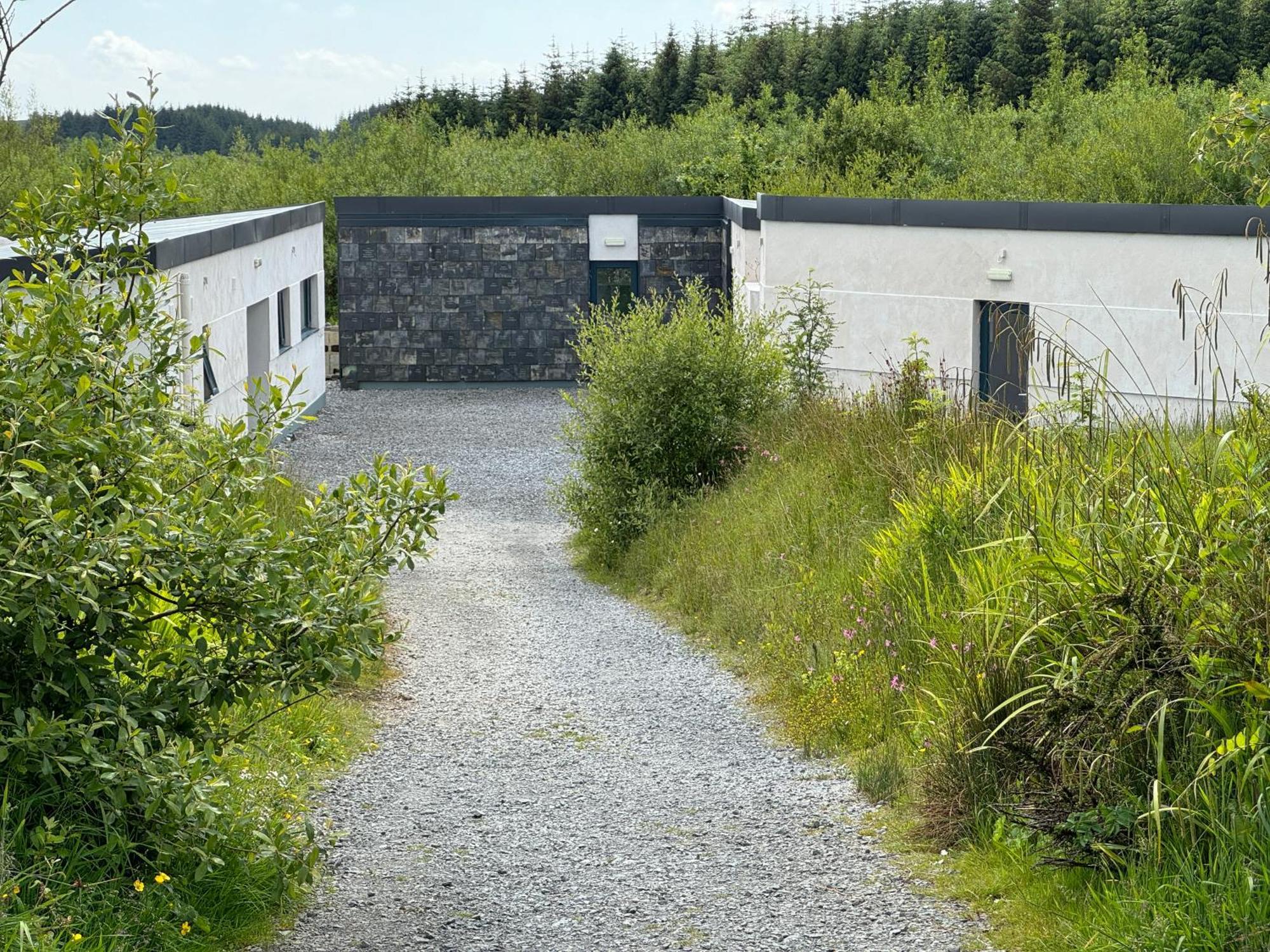 The Common Knowledge Centre Vandrarhem Kilfenora Exteriör bild